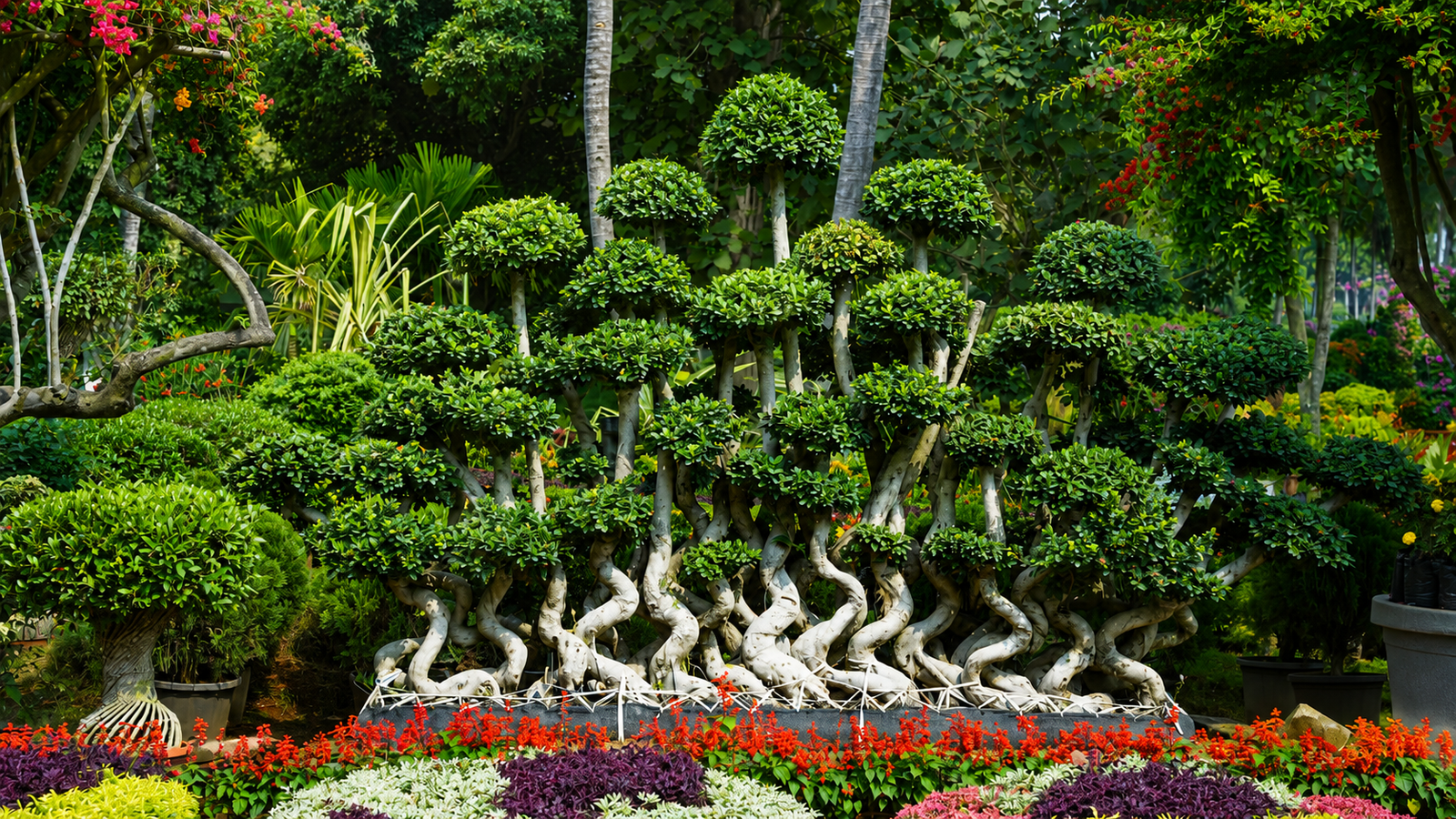 Softscape & Plantation