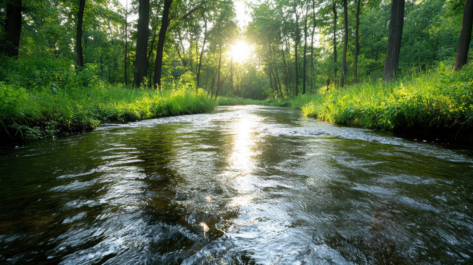Carbon Sequestration