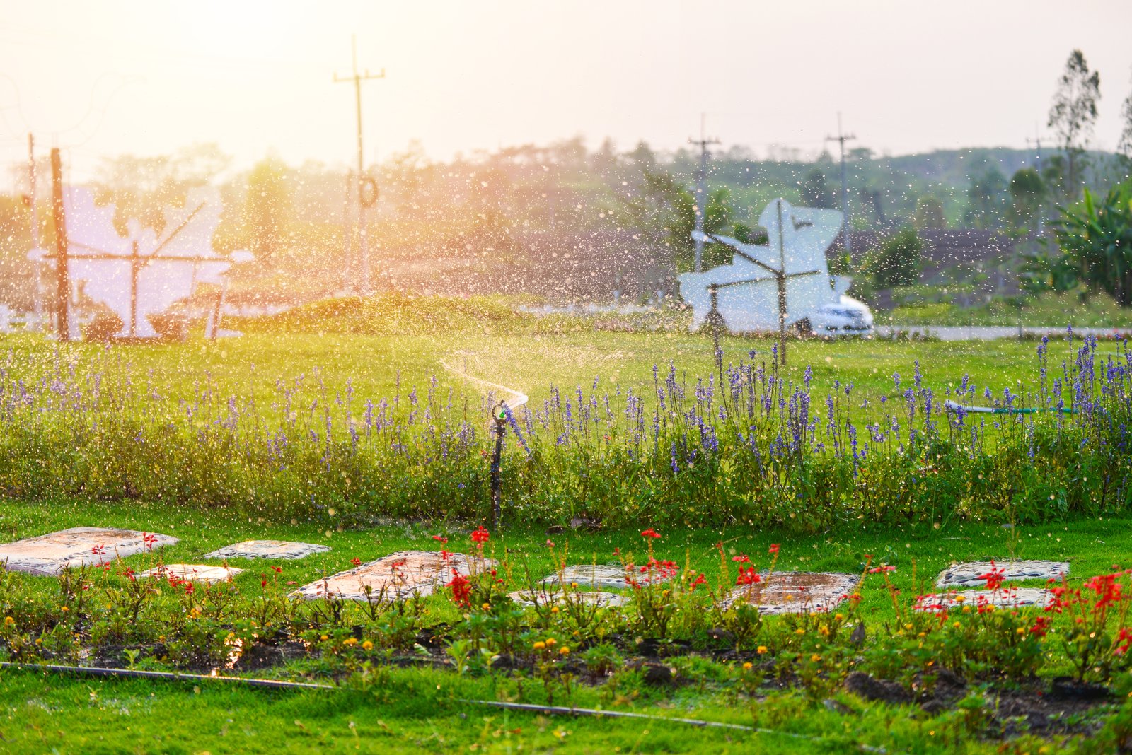Irrigation & Water Management
