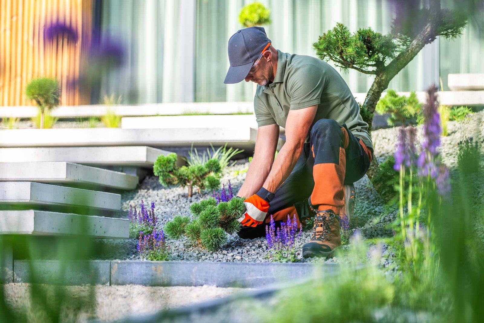 Top 7 Turf Maintenance Tips for a Healthy Lawn