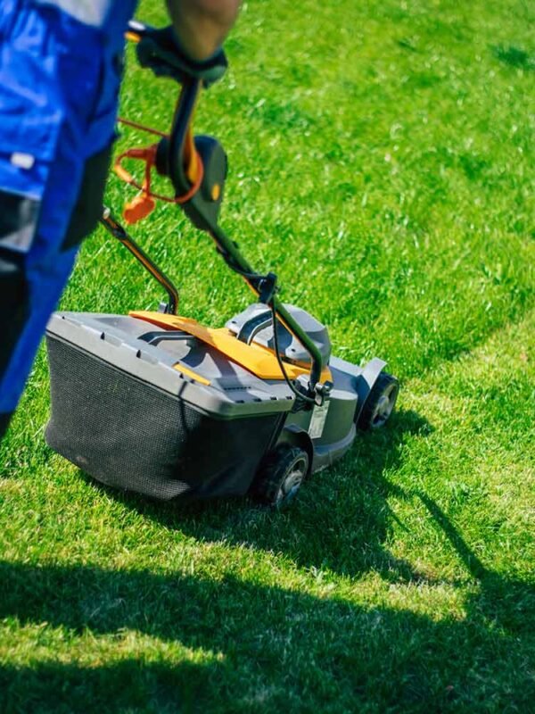 Commercial & IT Campuses