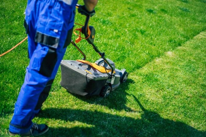 Commercial & IT Campuses