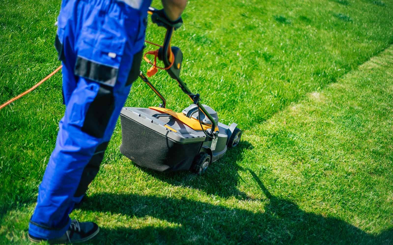 Commercial & IT Campuses