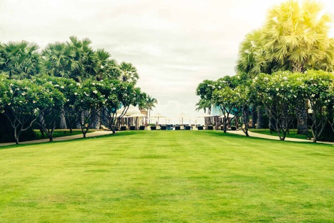 Public & Government Projects