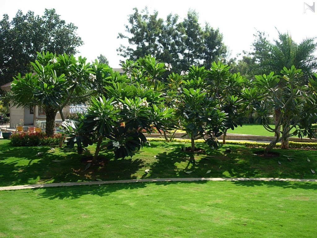 Ecological Plantation