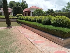 Landscape-Maintenance
