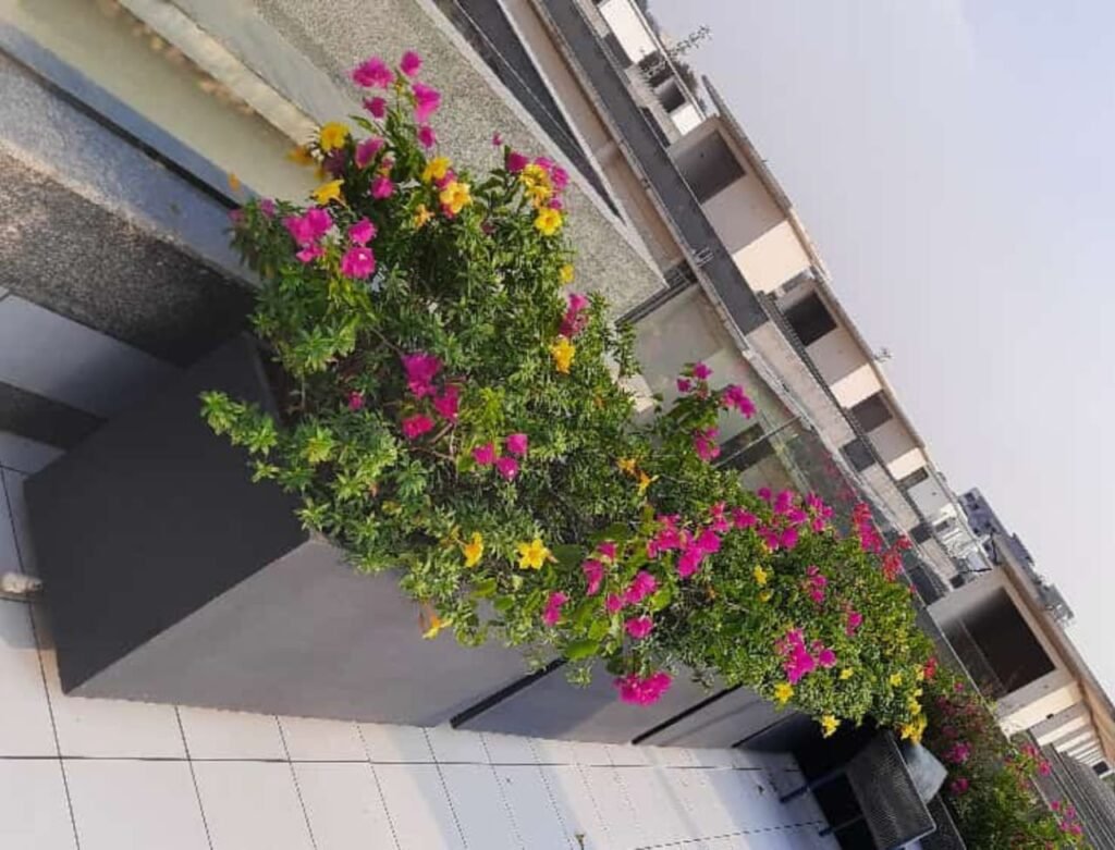 Vertical & Rooftop Landscapes