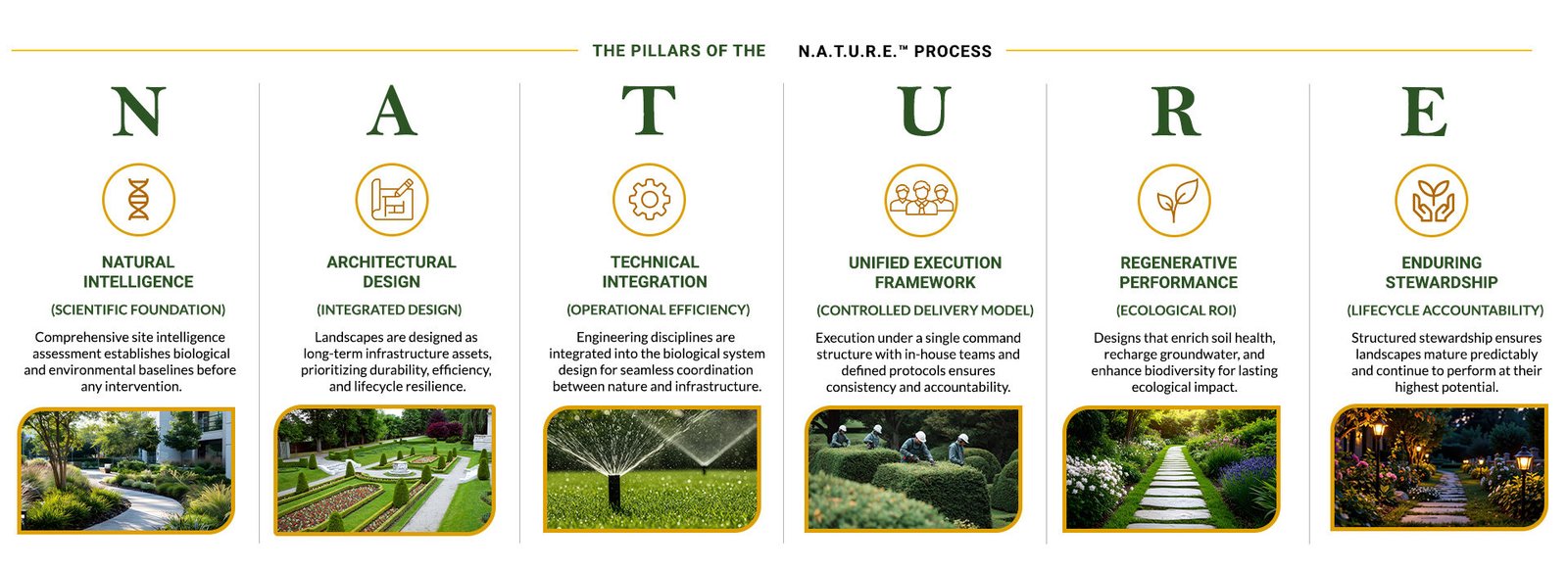 Nature Frame work